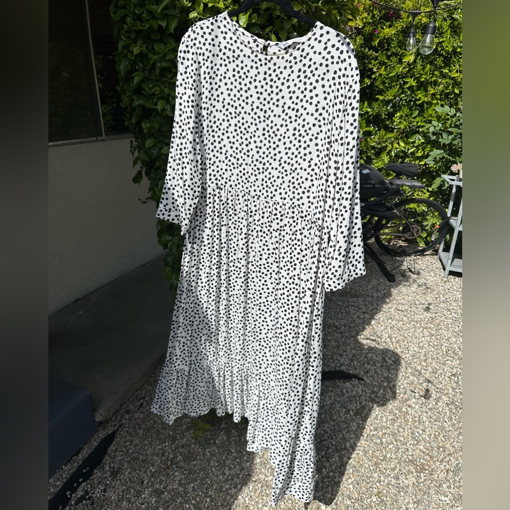 The viral Zara Polka Dot Dress